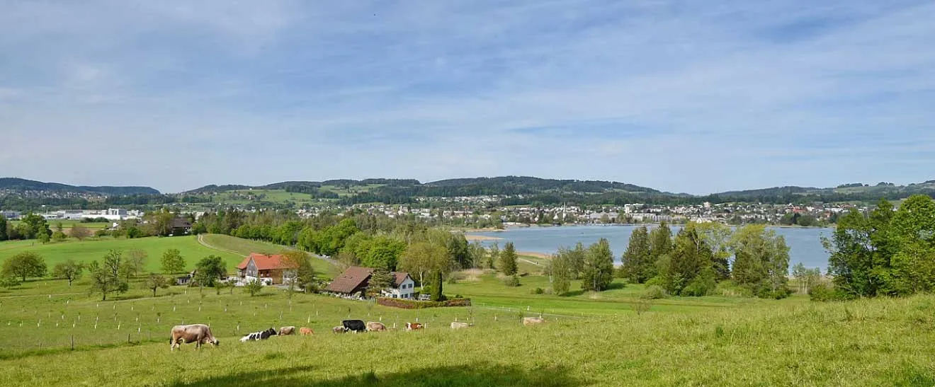 Kanton Zürich Pfäffikon