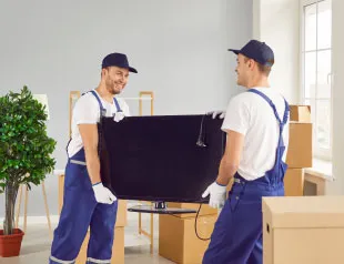 ZH-Umzug-Prozess-Umzug