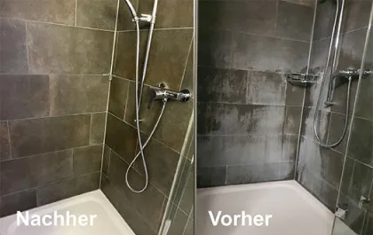 ZH-Umzug-Wohnungsreinigung-Dusche